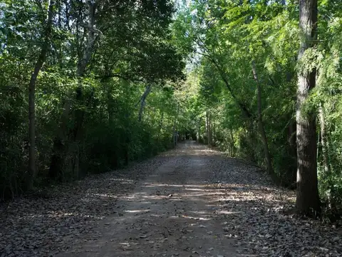 Terreno Lote  en Venta en Puertos, Escobar, G.B.A. Zona Norte