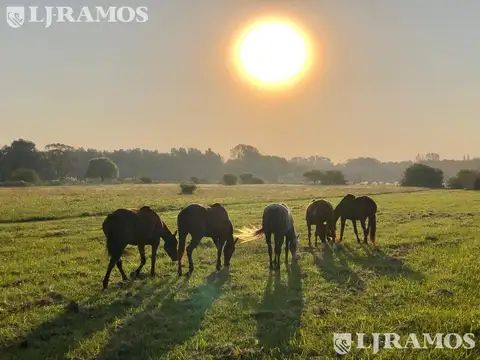 Terreno en Venta de 1640,0 m2