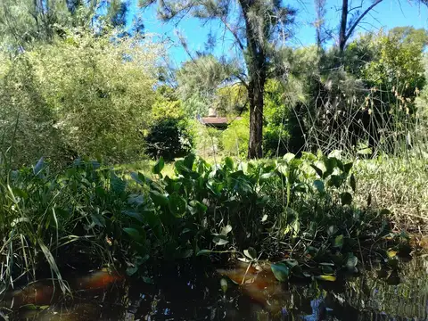 Terreno en Venta de 19000,0 m2