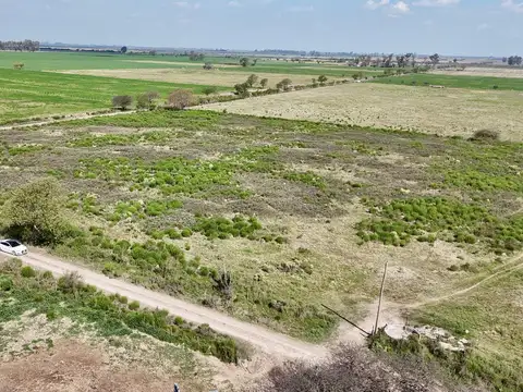 Campo Agrícola-Ganadero en Venta — 62 ha — Distrito Felicia, Santa Fe — A 23 km de Rafaela