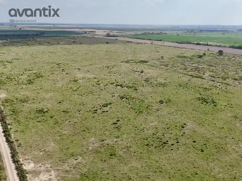 Campo Agrícola-Ganadero en Venta — 62 ha — Distrito Felicia, Santa Fe — A 23 km de Rafaela