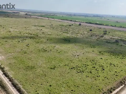 Campo Agrícola-Ganadero en Venta — 62 ha — Distrito Felicia, Santa Fe — A 23 km de Rafaela