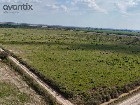 Campo Agrícola-Ganadero en Venta — 62 ha — Distrito Felicia, Santa Fe — A 23 km de Rafaela