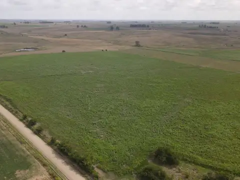 Campo en venta de 150 ha Agrícola Ganadero en Florida 