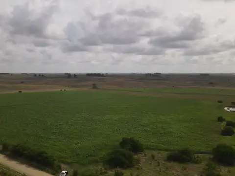 CAMINO  PASO CALLEROS