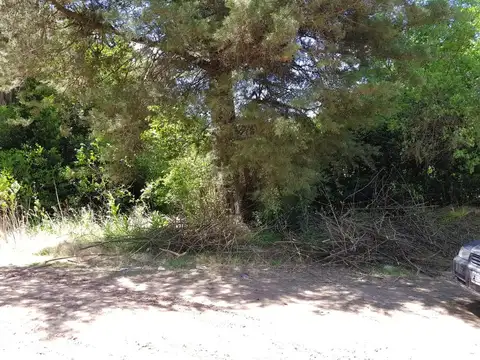 Interesante fracción de 6.200 m²
