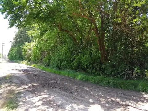 Interesante fracción de 6.200 m² ubicada sobre la calle Manf