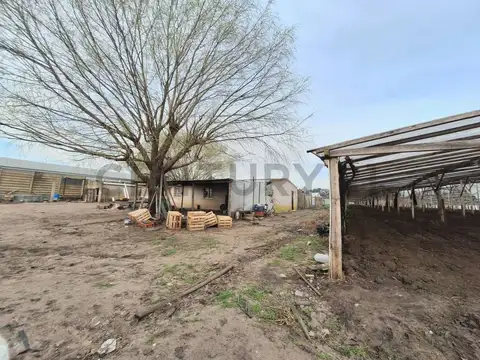 Venta de Campo, Mar del Plata            
            
        Century 21 Recanatti tie...