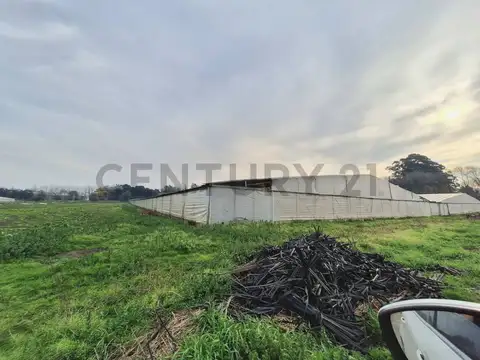 Venta de Campo, Mar del Plata            
            
        Century 21 Recanatti tie...