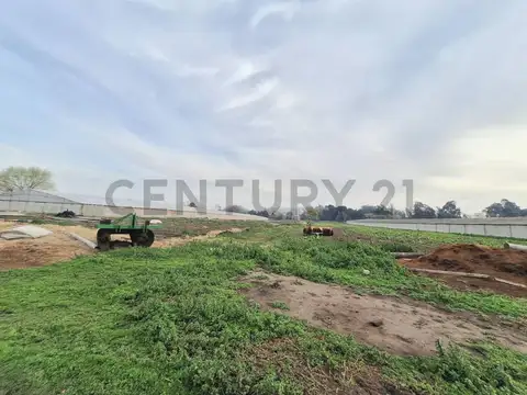 Campo en Venta de 6,50  ha