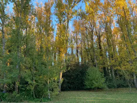 Casa en Venta 2025 años