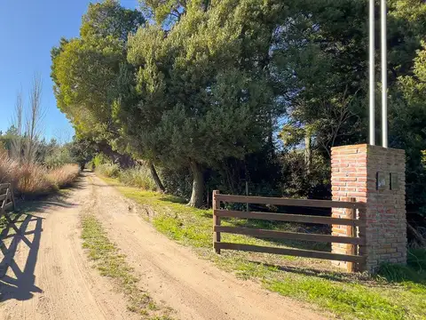 Quinta en Venta en Tandil, USD 480.000