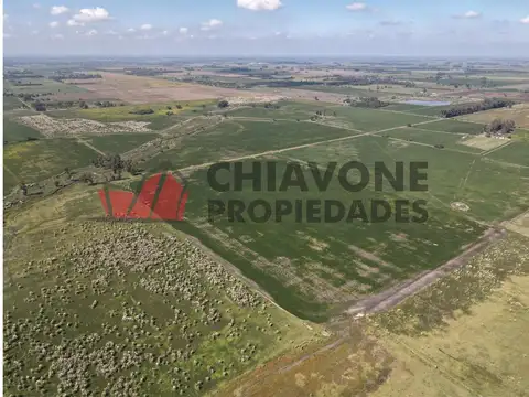 Campo, 400has, 70As. El Orejano, La Matanza, Cod. 3008  