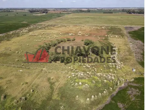 Campo, 400has, 70As. El Orejano, La Matanza, Cod. 3008