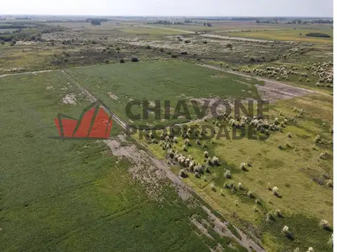 Campo, 400has, 70As. El Orejano, La Matanza, Cod. 3008