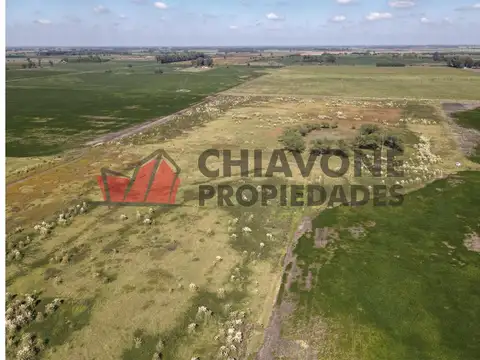 Campo, 400has, 70As. El Orejano, La Matanza, Cod. 3008