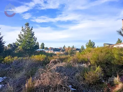 Terreno en Venta 20  mts Fondo