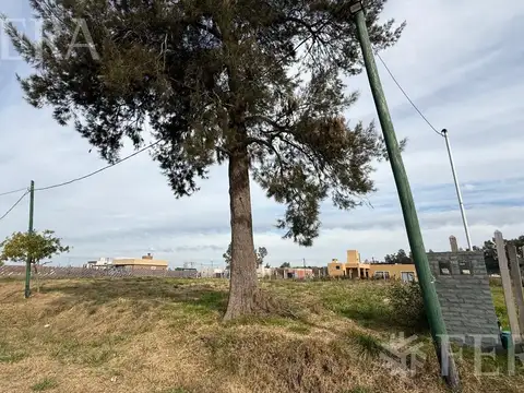 Terreno en Venta 20  mts Frente