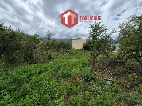 Terreno en Venta 21  mts Frente