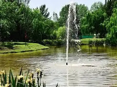 Terreno en Venta 40  mts Fondo