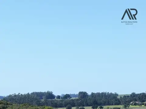 Chacra en venta de 3ha ubicado en Ruta 9