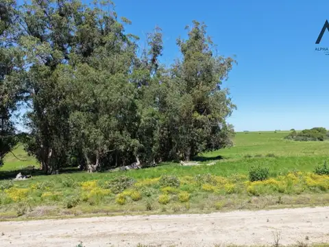 ruta 9 100