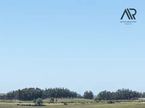 Chacra en venta de 3ha ubicado en Ruta 9