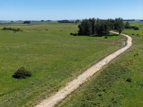 ruta 9 100