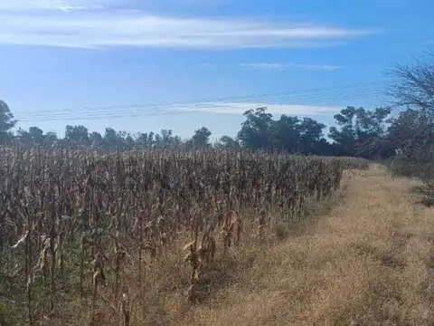 Chacra en venta en Partido de Lujan sobre Ruta 6.