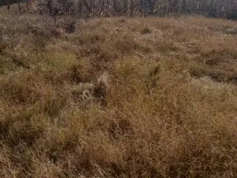 Ruta Nacional 6 , Piso 0