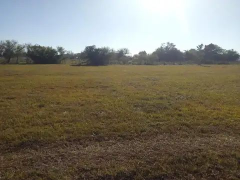 Terreno en Venta 40  mts Fondo
