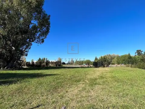 San Matias Area 2 al 1200