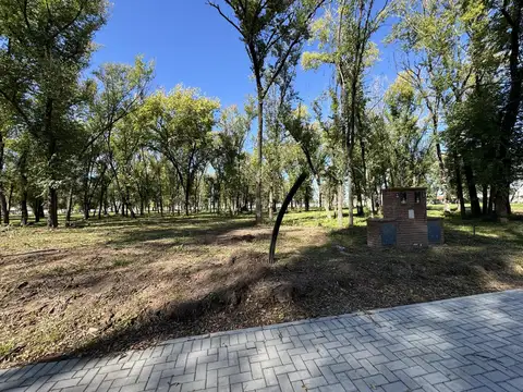   Almahue Pilar - Reventa LOTE