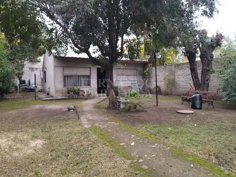 Del Gato 200