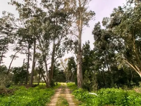 Lote en venta, La Plata. Sicardi