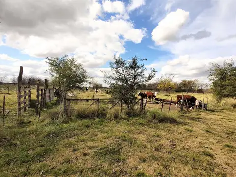 Campo en Venta en Marcos Paz, Partido de Marcos Paz