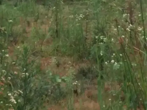 Campo en venta - 11.870.000mts2 - Entre Ríos