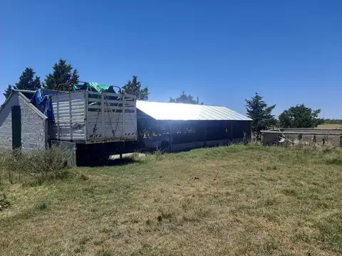 Ruta Provincial 20, saladillo 100