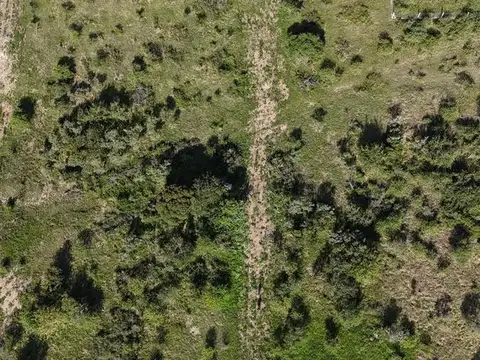 Terreno en Venta de 800,0 m2