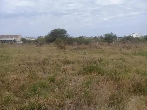 De Las Palmeras - Villa California S/n