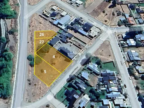 Presidente Raúl Ricardo Alfonsin y Beatriz Williams