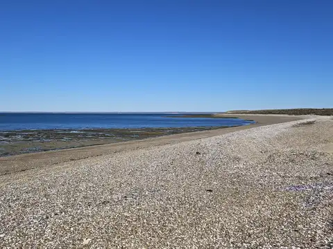 Peninsula de Valdés