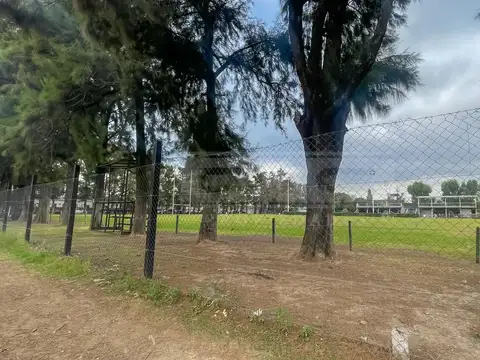 Coronel Dorrego al 4300 entre Avalos y Coquimbo