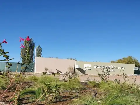 Terreno en Venta en Palacios, Tinogasta