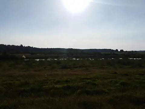 Terreno en Venta en Carmelo, USD 85.000