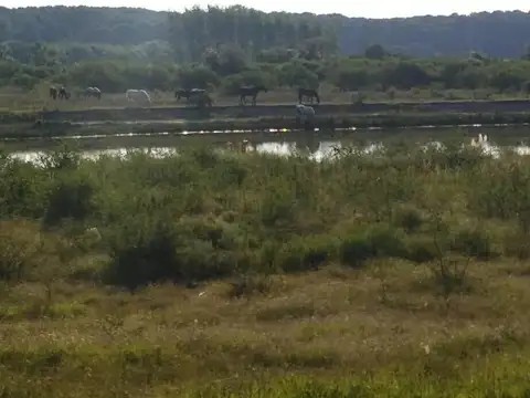 Terreno en Venta de 3700,0 m2