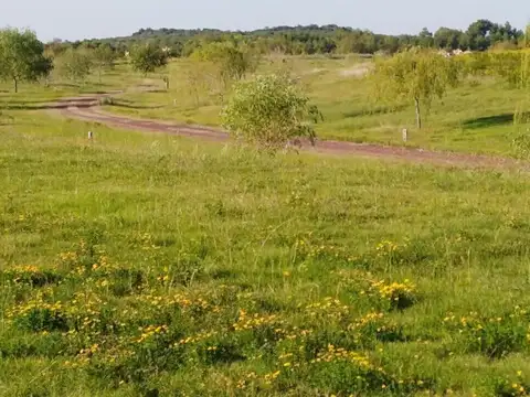 Terreno Lote  en Venta ubicado en El Golf, Carmelo, Colonia