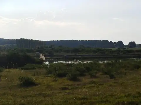 Terreno en Venta en Carmelo, USD 85.000