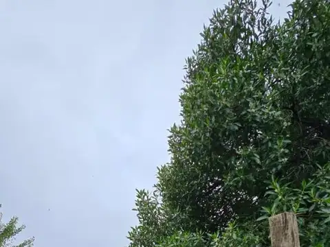 560