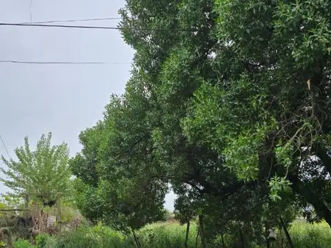 Terreno en Venta en Necochea, USD 9.500